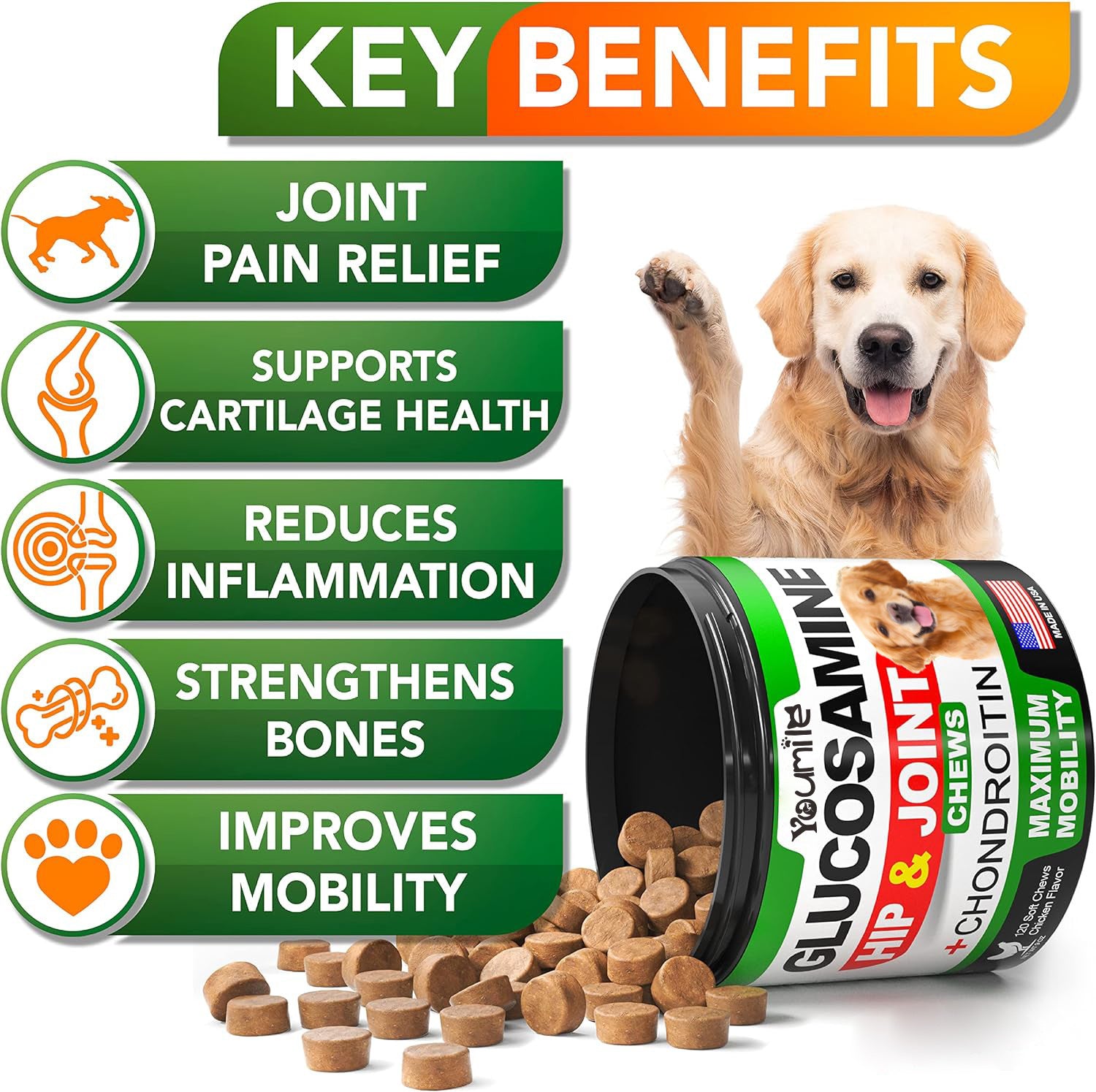 "Joint Support Pet Supplement with Chondroitin – Healthy Hips for Happy Pets!" | Dog Supplies | dog food | f66c60-6b