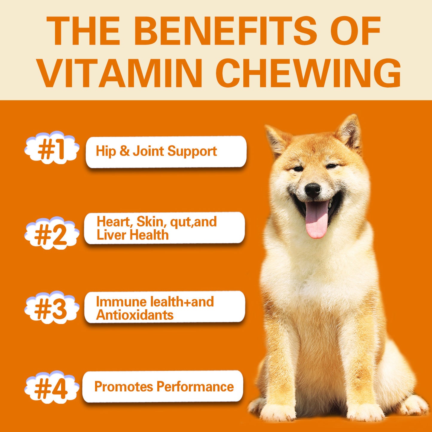 "Multifunctional Pet Vitamins – Boost Your Dog’s Health with Essential Nutrients!"